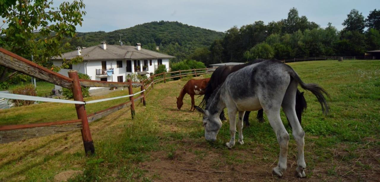 Bed and Breakfast Favetto Family Ranch Rueglio Zewnętrze zdjęcie