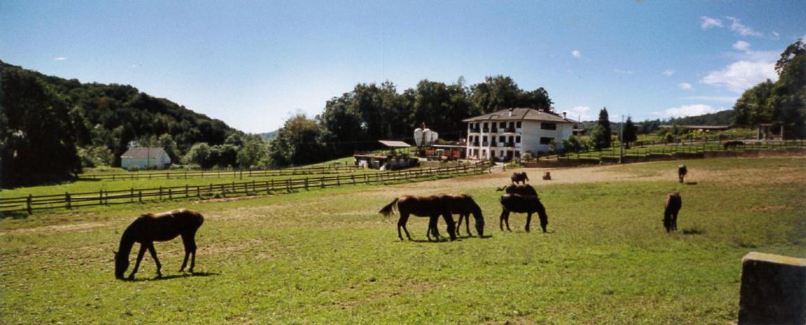 Bed and Breakfast Favetto Family Ranch Rueglio Zewnętrze zdjęcie