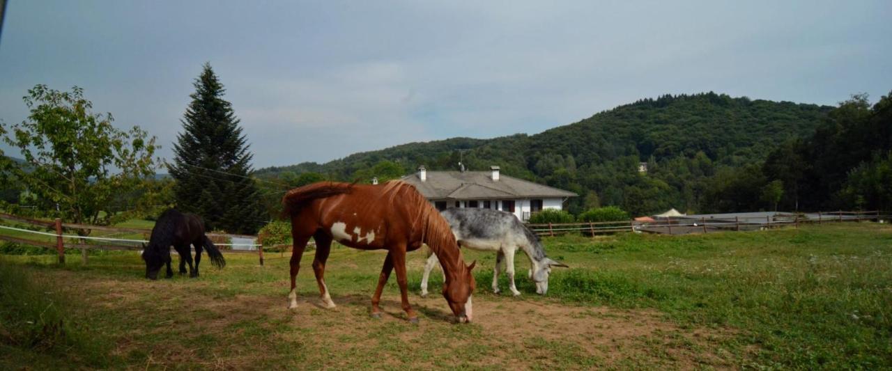 Bed and Breakfast Favetto Family Ranch Rueglio Zewnętrze zdjęcie